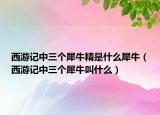 西游记中三个犀牛精是什么犀牛（西游记中三个犀牛叫什么）