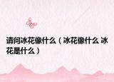 请问冰花像什么（冰花像什么 冰花是什么）