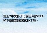霸王2中文补丁（霸王2在STEAM下载能安装汉化补丁吗）