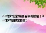 dnf怎样获得装备品级调整箱（dnf怎样获得宠物蛋）