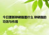 今日更新卵磷脂是什么 卵磷脂的功效与作用