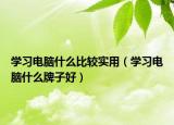 学习电脑什么比较实用（学习电脑什么牌子好）