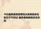 今日最新更新百草枯女孩劫后余生的日子不好过 被投毒换肺需终生吃药