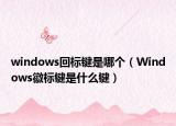 windows回标键是哪个（Windows徽标键是什么键）