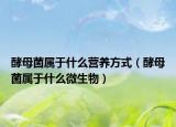 酵母菌属于什么营养方式（酵母菌属于什么微生物）