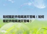 如何驱赶并彻底消灭苍蝇（如何驱赶并彻底消灭苍蝇）