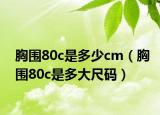 胸围80c是多少cm（胸围80c是多大尺码）