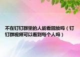 不在钉钉群里的人能看回放吗（钉钉群视频可以看到每个人吗）