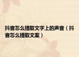 抖音怎么提取文字上的声音（抖音怎么提取文案）