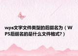 wps文字文件类型的后缀名为（WPS后缀名的是什么文件格式?）