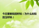 今日更新和田籽料（为什么叫和田玉籽料）