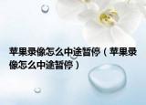 苹果录像怎么中途暂停（苹果录像怎么中途暂停）