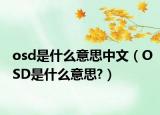 osd是什么意思中文（OSD是什么意思?）