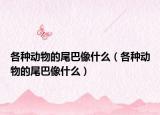 各种动物的尾巴像什么（各种动物的尾巴像什么）