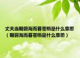 丈夫当朝碧海而暮苍梧是什么意思（朝碧海而暮苍梧是什么意思）