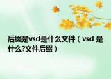 后缀是vsd是什么文件（vsd 是什么?文件后缀）