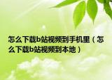 怎么下载b站视频到手机里（怎么下载b站视频到本地）