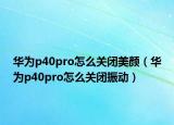 华为p40pro怎么关闭美颜（华为p40pro怎么关闭振动）