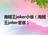 海贼王joker小说（海贼王joker是谁）