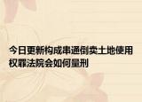 今日更新构成串通倒卖土地使用权罪法院会如何量刑