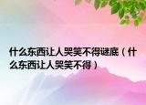 什么东西让人哭笑不得谜底（什么东西让人哭笑不得）