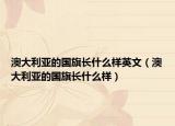 澳大利亚的国旗长什么样英文（澳大利亚的国旗长什么样）