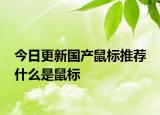 今日更新国产鼠标推荐 什么是鼠标