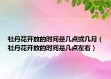 牡丹花开放的时间是几点或几月（牡丹花开放的时间是几点左右）