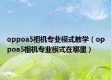 oppoa5相机专业模式教学（oppoa5相机专业模式在哪里）