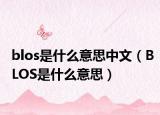 blos是什么意思中文（BLOS是什么意思）