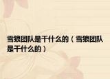 雪狼团队是干什么的（雪狼团队是干什么的）