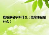 鹿晗原名字叫什么（鹿晗原名是什么）