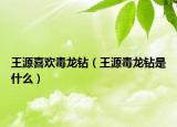 王源喜欢毒龙钻（王源毒龙钻是什么）