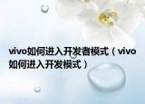 vivo如何进入开发者模式（vivo如何进入开发模式）