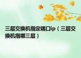 三层交换机指定端口ip（三层交换机指哪三层）