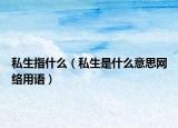 私生指什么（私生是什么意思网络用语）