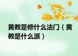 黄教是修什么法门（黄教是什么派）