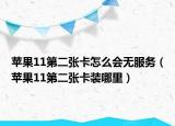 苹果11第二张卡怎么会无服务（苹果11第二张卡装哪里）