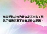 苹果手机语音为什么发不出去（苹果手机语音发不出去是什么原因）