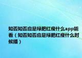 知否知否应是绿肥红瘦什么app能看（知否知否应是绿肥红瘦什么时候播）