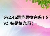 5v2.4a是苹果快充吗（5v2.4a是快充吗）