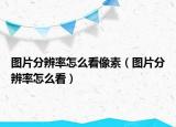 图片分辨率怎么看像素（图片分辨率怎么看）