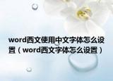 word西文使用中文字体怎么设置（word西文字体怎么设置）