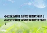 小微企业用什么财务管理软件好（小微企业用什么财务管理软件合适?）
