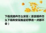 下载完插件怎么安装（耍耍插件怎么下载和安装我是初學者一点都不会）