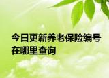 今日更新养老保险编号在哪里查询