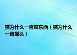 猫为什么一直咬东西（猫为什么一直摇头）