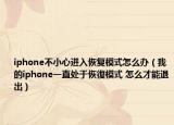 iphone不小心进入恢复模式怎么办（我的iphone一直处于恢復模式 怎么才能退出）