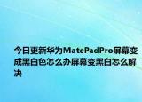 今日更新华为MatePadPro屏幕变成黑白色怎么办屏幕变黑白怎么解决