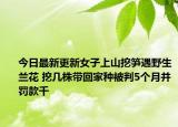 今日最新更新女子上山挖笋遇野生兰花 挖几株带回家种被判5个月并罚款千